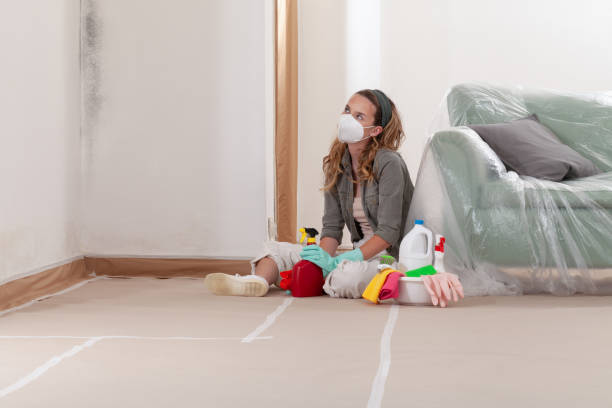 Reliable Mold Inspection And Testing contractor in Fairfield, TX by Car Mold Remediation